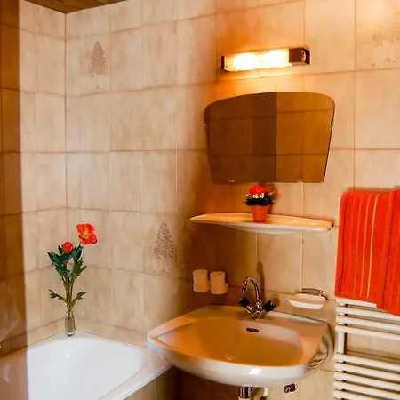 Apartman Hopfgarten Entalhof 300w
